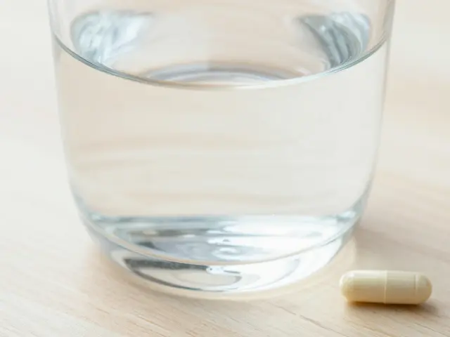 Čím zapíjet laktobacily? Úplný průvodce užíváním probiotik v praxi